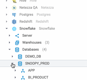 Deep Database Support with Coginiti